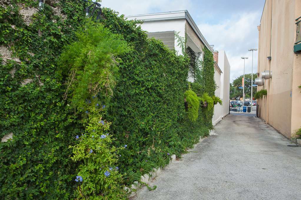 O'Brien Riverwalk Boutique Hotel San Antonio Esterno foto